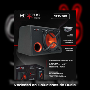 Subwoofer amplificado ST W100